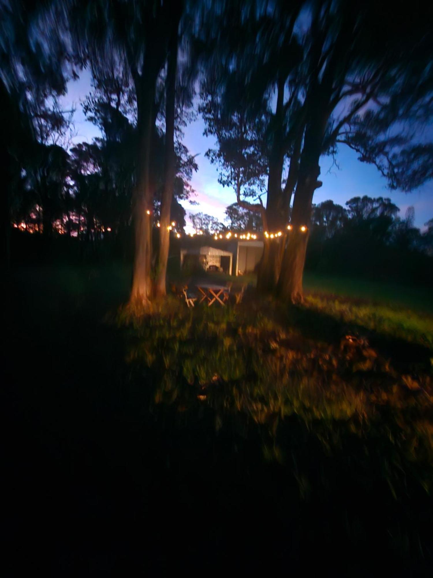 Country Cottage Sunshine Coast مونتفيل المظهر الخارجي الصورة
